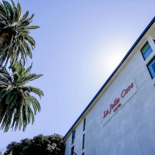 Palm trees and a modern building with a &ldquo;Luxe&rdquo; sign against a blue sky.