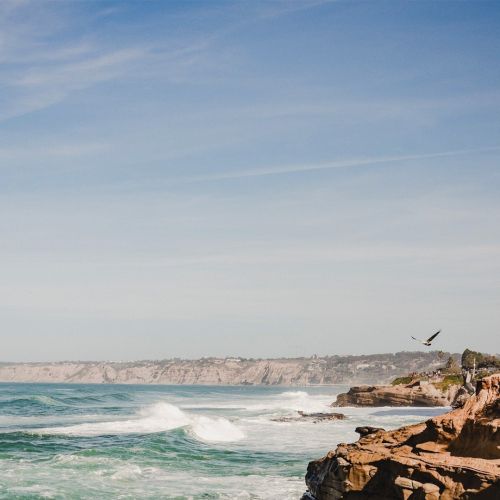 A coastal view with crashing waves, rocky cliffs, palm trees, and a bird gliding over a calm blue sky.